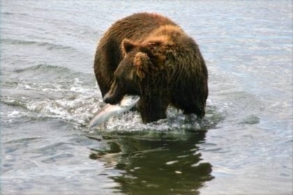 Sport fishing charter