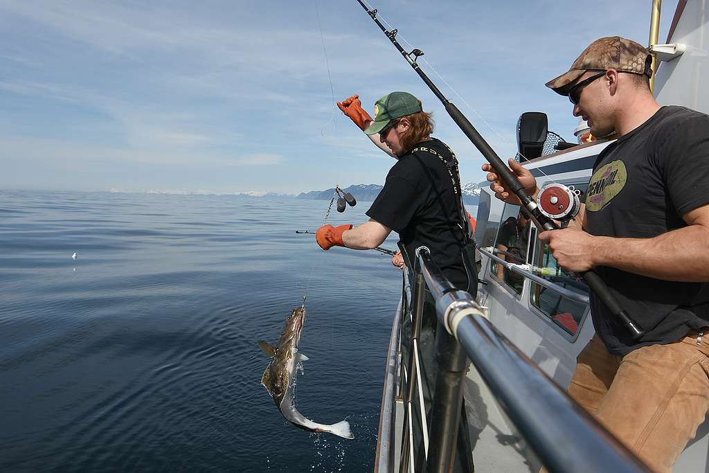 Sport Fishing